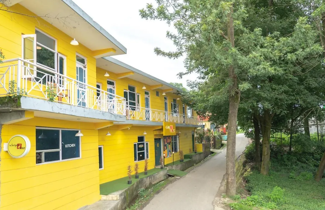 Whoopers Hostel Bir- Friends Themed-1